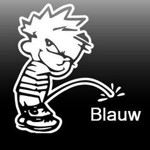 Calvin_Suzukiblauw.JPG