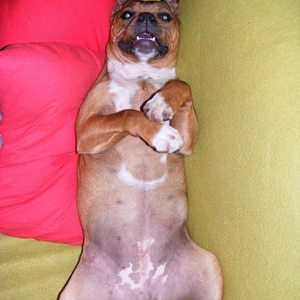 relax2.jpg