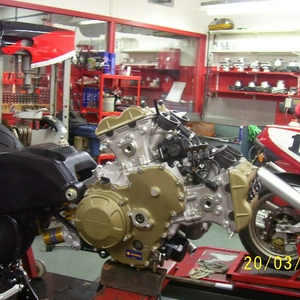 Afbeelding 099.jpg