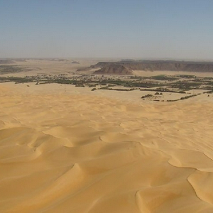 Duintoppen
