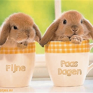pasen.gif