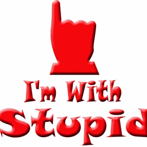 withstupid.gif