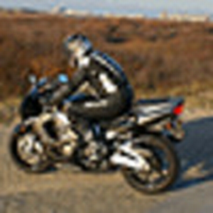 uijmuiden.gif