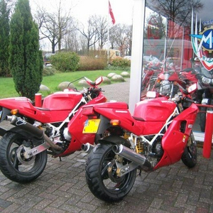 duc 014.jpg
