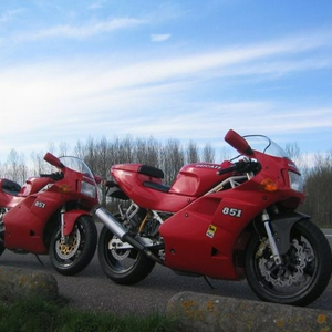 duc 003.jpg