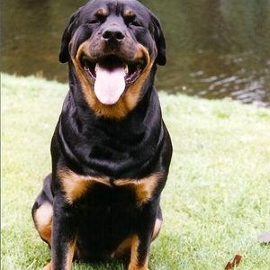 Scannen0001.jpg