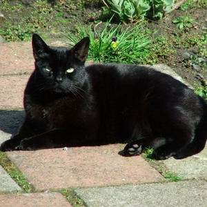 DSCF2919.jpg