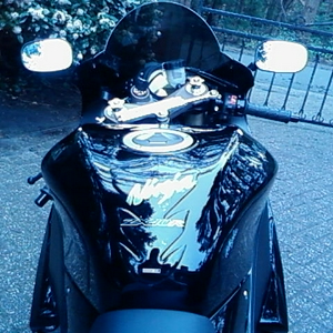 SP_A0269.jpg