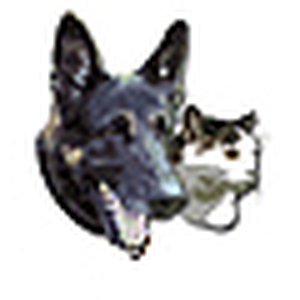 minilogoag9.gif