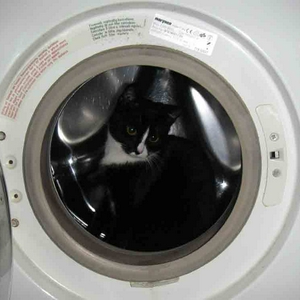 puck0214.jpg