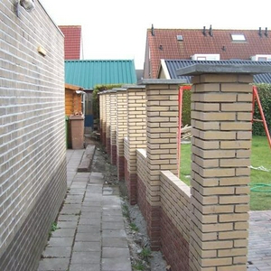 100_4419a.JPG