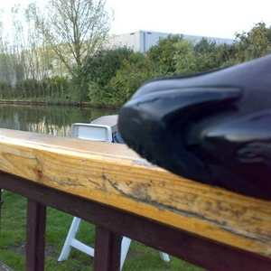 25042008105 (Small).jpg