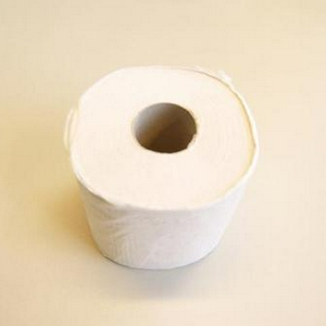 wc.JPG