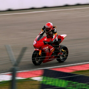 PICT6655 (cropped) (800x600).jpg