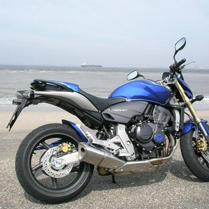 Hornet panoramaweg Groede.jpg