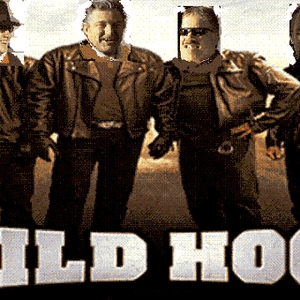 wildhogs-1.GIF