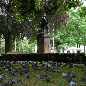 duiven_hereplein.jpg