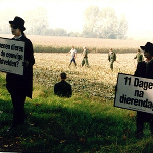 konijn 2.jpg
