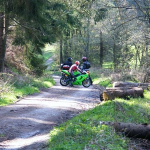 Sauerland 114 (Small).jpg