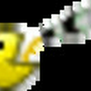 00000008.gif