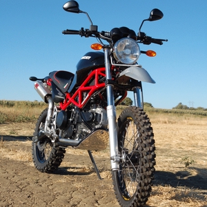 Duccross.gif
