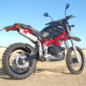 Duccross2.gif