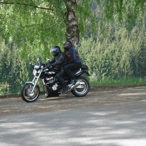 tr13.jpg