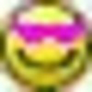 rozebril.JPG