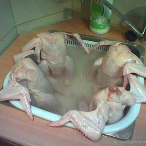 Jacuzi voor kippen.jpg