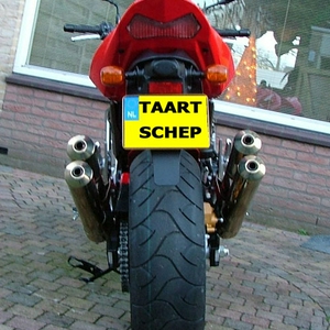 TAARTSCHEP.jpg