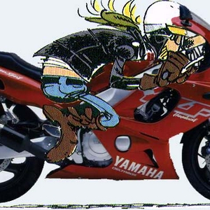 Kopie van Yamaha YZF600R 96  2.jpg