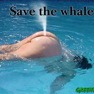 Walvis.jpg