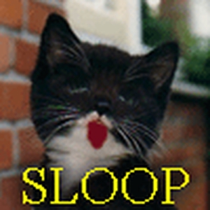 Sloopkogel