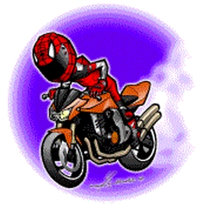 Z-1000-Orang.gif