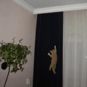 test-animate.gif