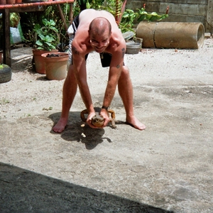 imm008_11A.jpg