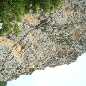 DSC06807.JPG