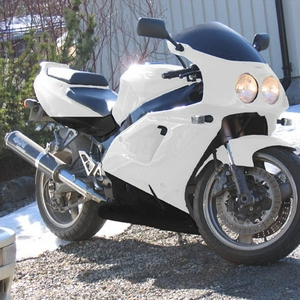 ZXR ducstyle