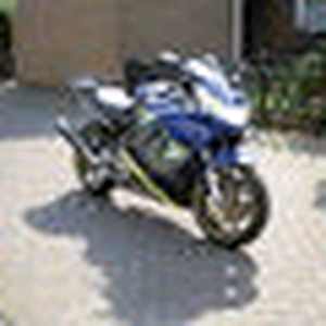 Inque 2.gif