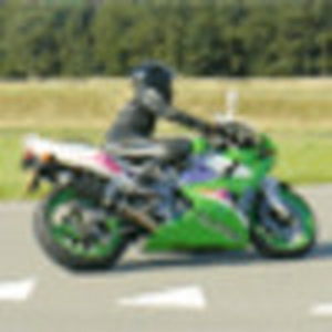zxr Yo copy.gif