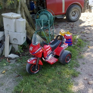 21082008129 (Medium).jpg