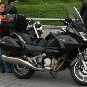 wt 116.JPG