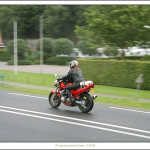 DSC_1150-border.jpg