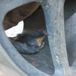 DSCF0173.jpg