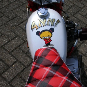 Anni top.jpg