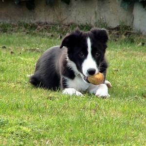 DSC00009.jpg