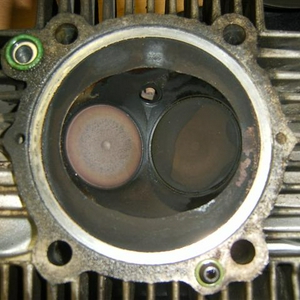 SA504593.JPG