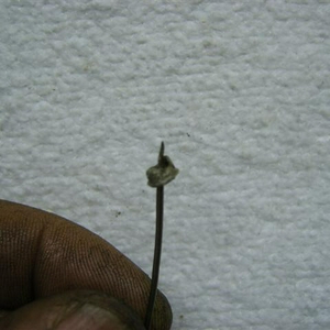 SA504591.JPG