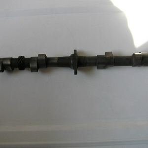 P1010009.JPG