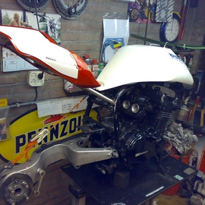 1 proj sharp dressed 900r998.JPG